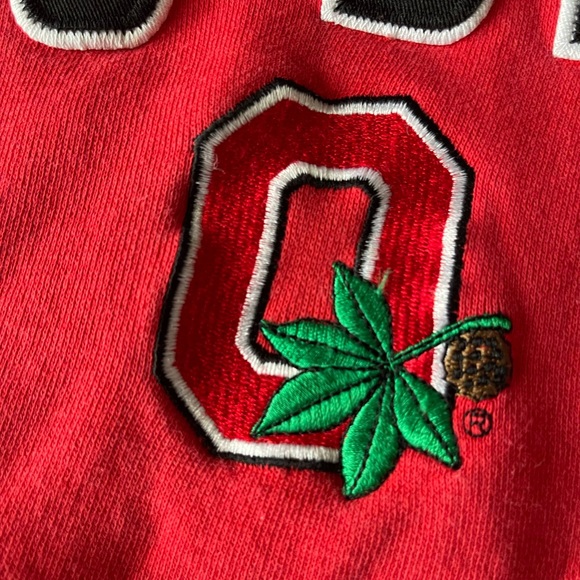 #201 (VINTAGE) OHIO STATE (CHAMPS) brand Hoodie - Picture 12 of 13